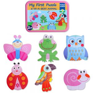 6 In A Box Puzzle Games (Insect)