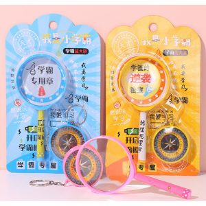 Magnifying Glass & Compass Set (Assorted Colors)