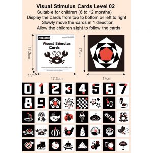 AA Visual Stimulus Cards (Level 02)