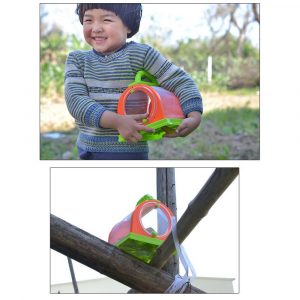 Alternative view of Insect Observation Box (Assorted Colors)