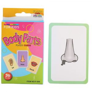 Educational Flash Cards Body Parts