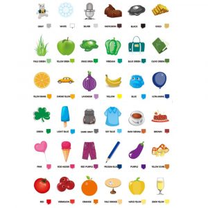 Alternative view of Educational Flash Cards Color
