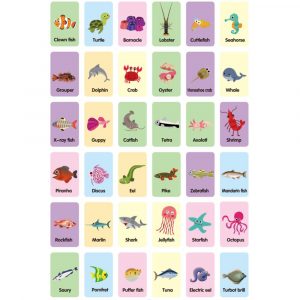 Alternative view of Educational Flash Cards Ocean Fish