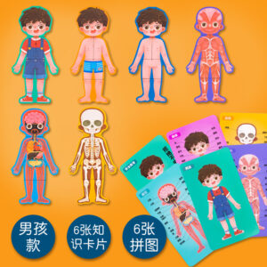 Body Structure Puzzle (Boy)