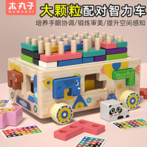 Animals Activity Car