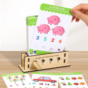 Alternative view of Logical Thinking Toys