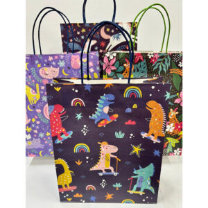 KR Gift Bag Type D (Assorted Designs)