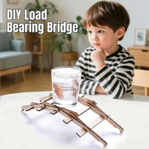 DIY Load Bearing Bridge Kit