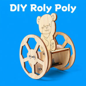 DIY Roly Poly Kit