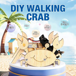 DIY Walking Crab Kit